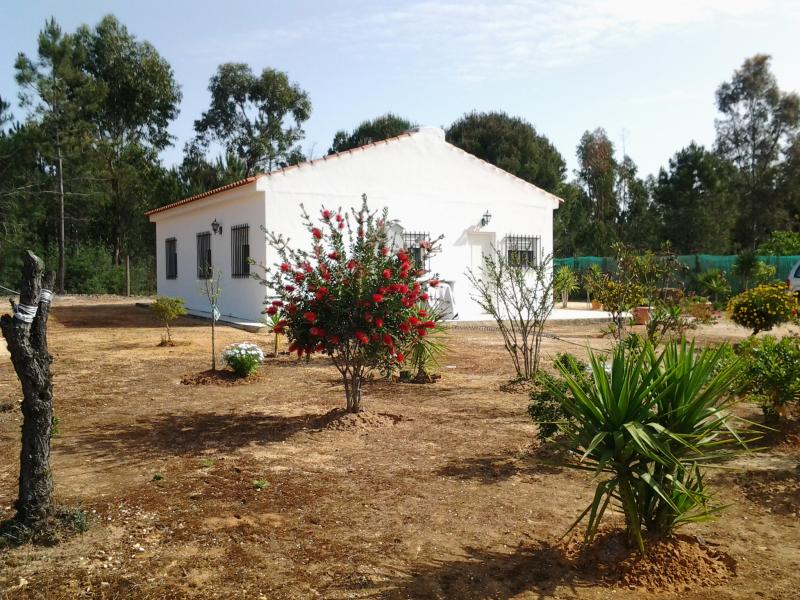 Finca venta Salida De La Poblacion Beas