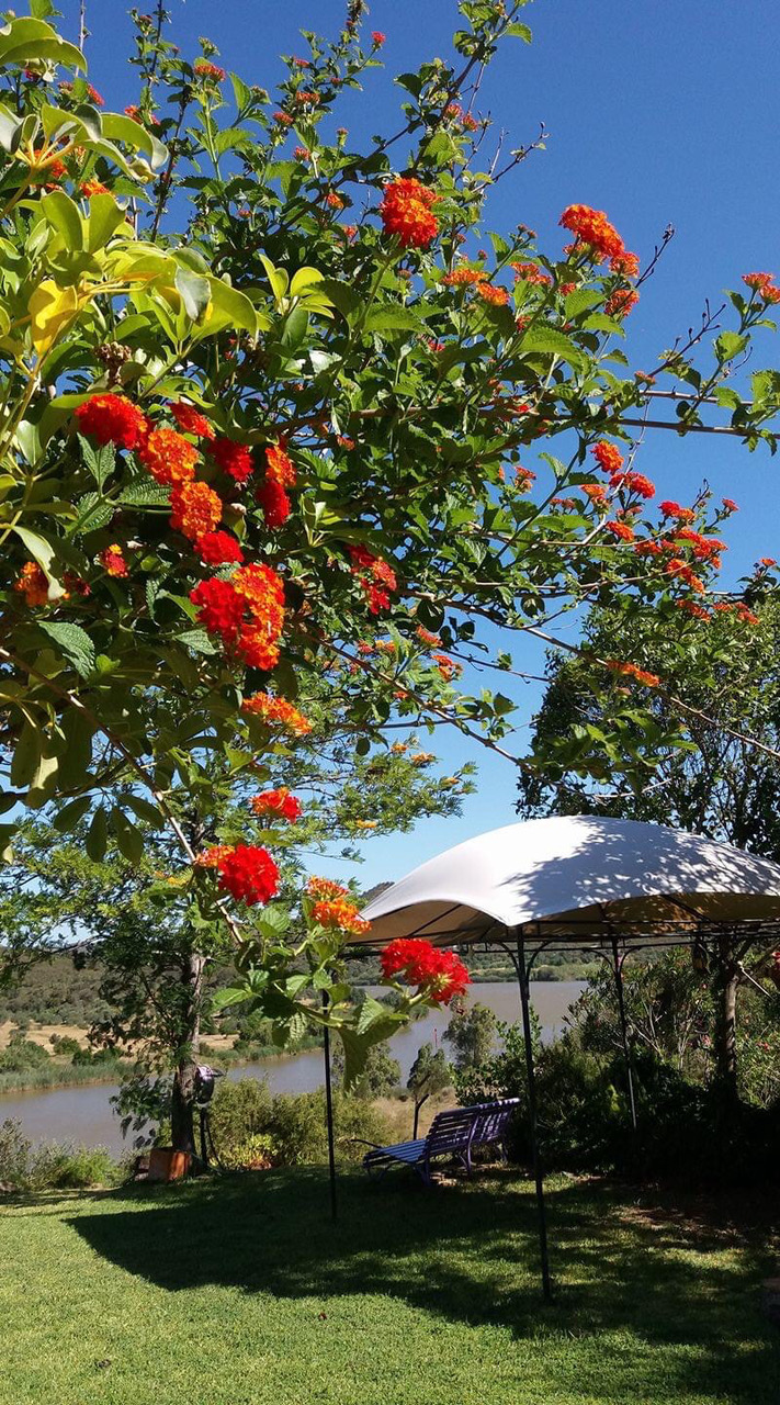 Villa El Romerano Sanlúcar de Guadiana HUELVA