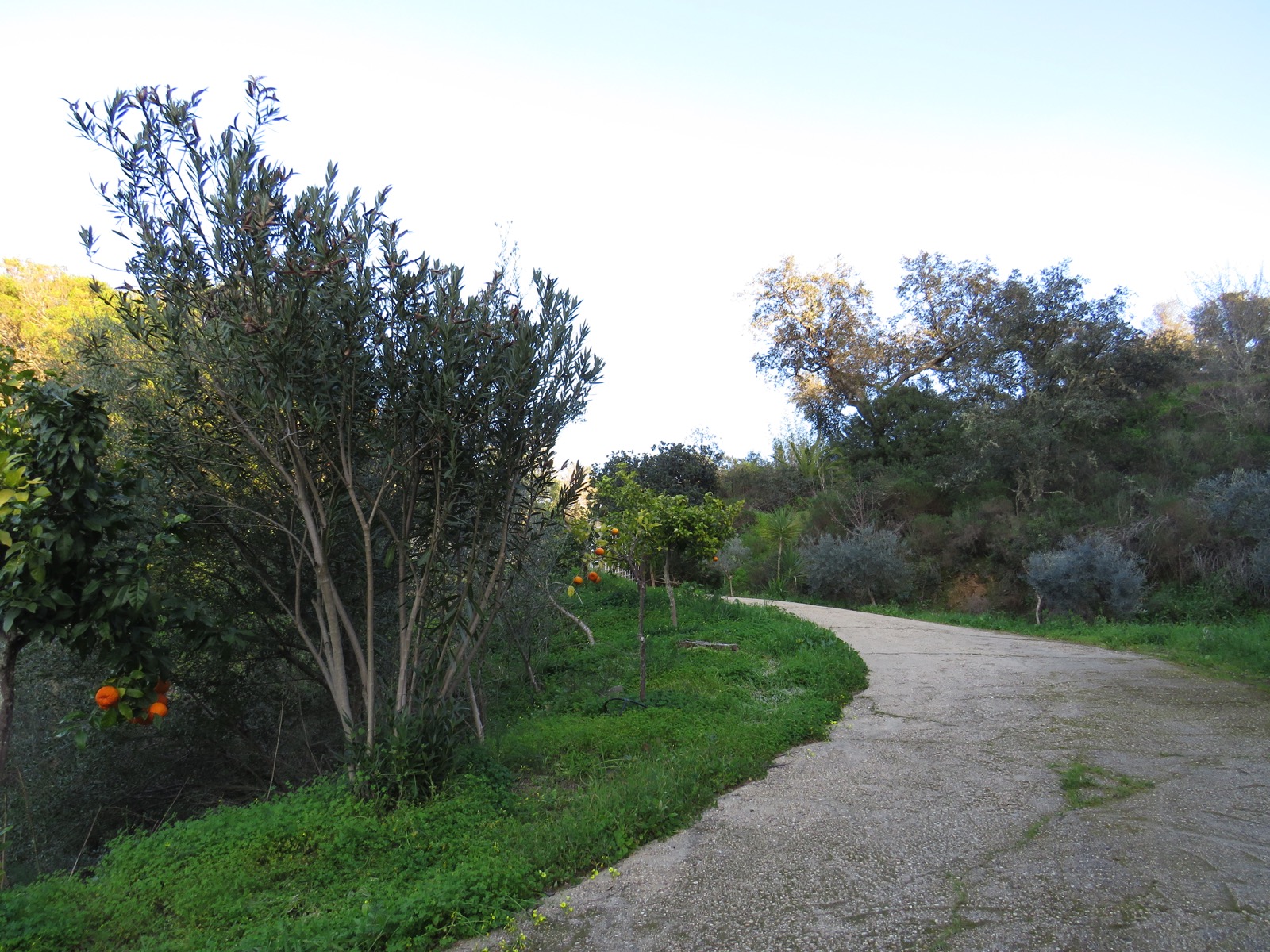 Villa El Romerano Sanlúcar de Guadiana HUELVA