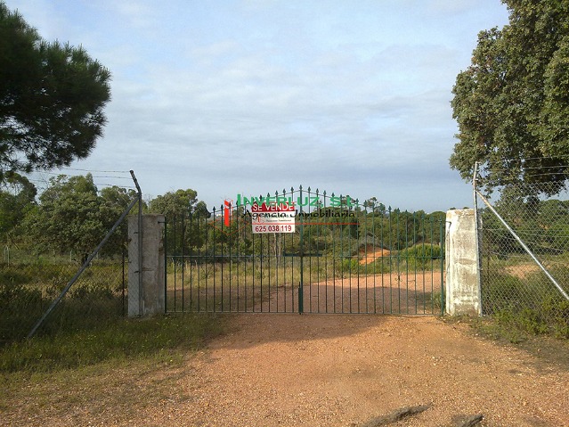Finca venta Hoyas de las Cañas Ayamonte