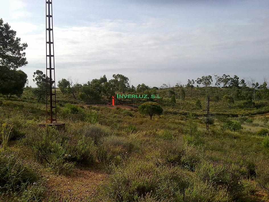 Finca venta Hoyas de las Cañas Ayamonte