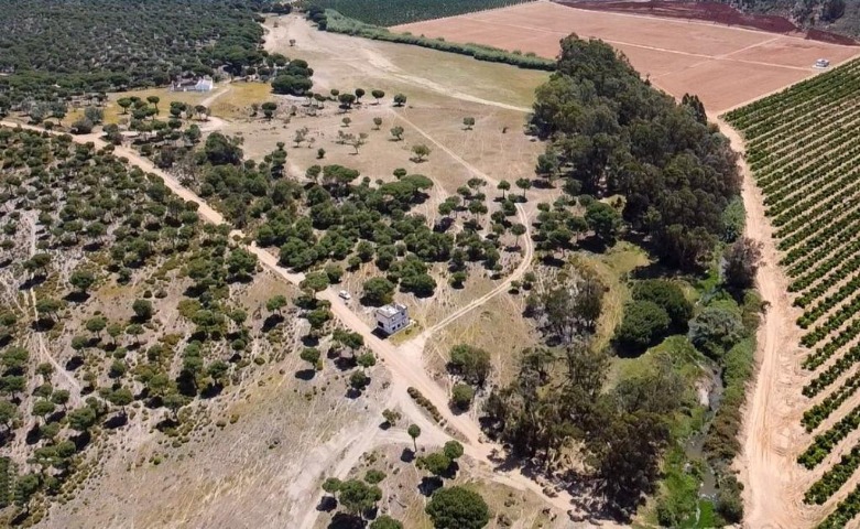 Adosado CAMPO Ayamonte HUELVA