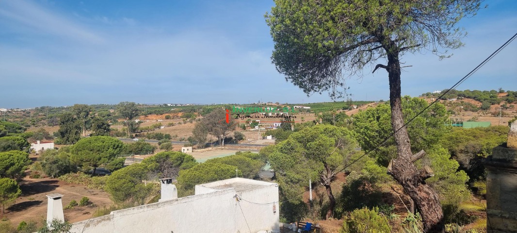 Finca venta Hoya De Las Cañas Ayamonte
