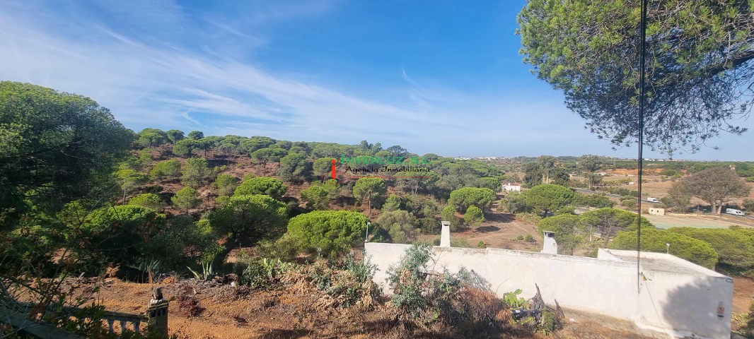 Finca venta Hoya De Las Cañas Ayamonte