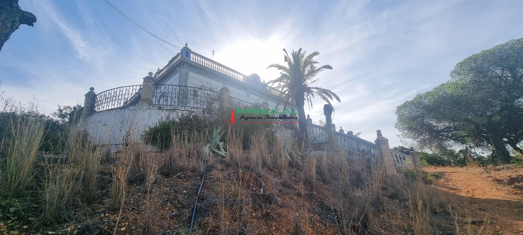 Finca venta Hoya De Las Cañas Ayamonte