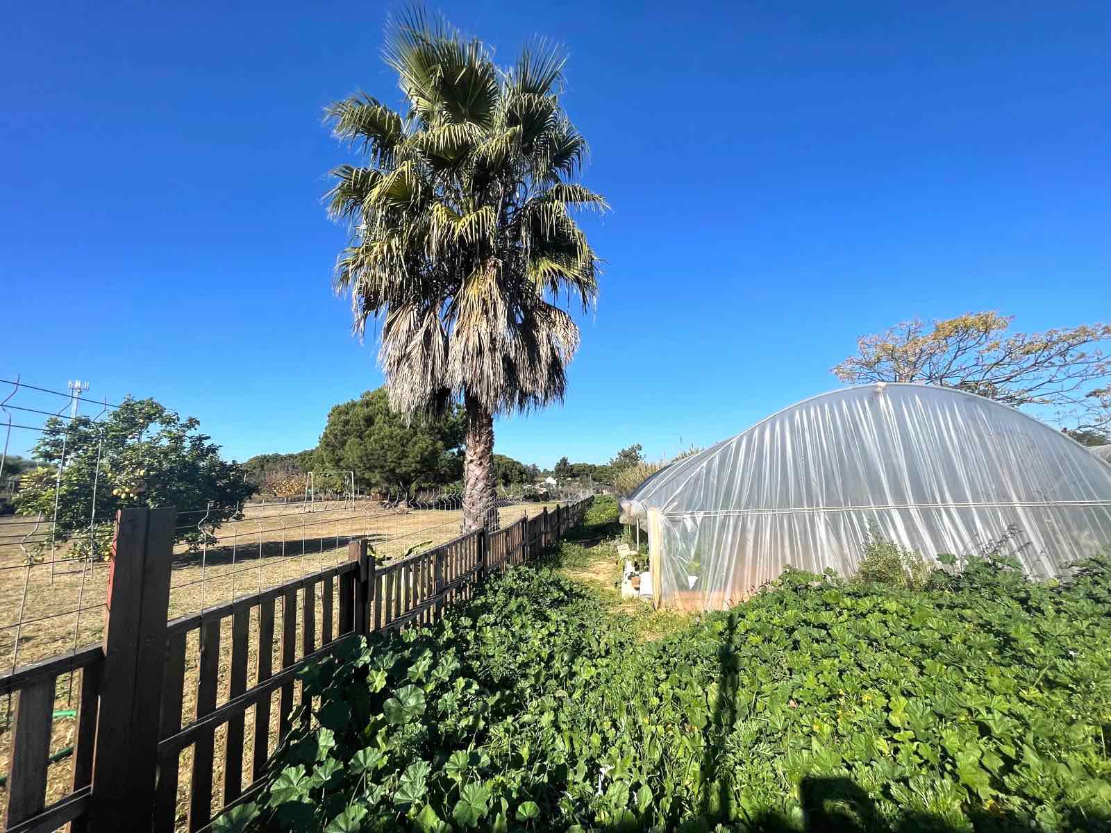 Chalet Lepe Lepe HUELVA
