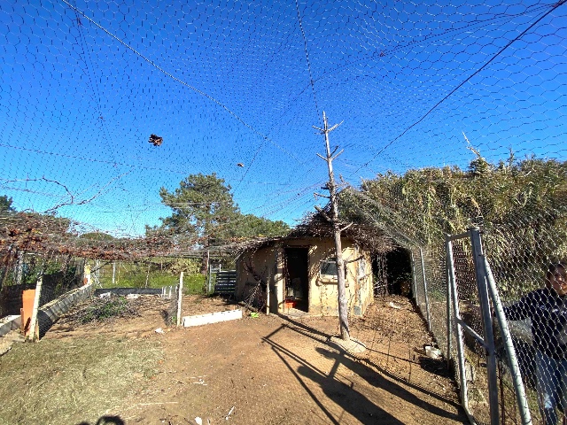 Chalet Lepe Lepe HUELVA