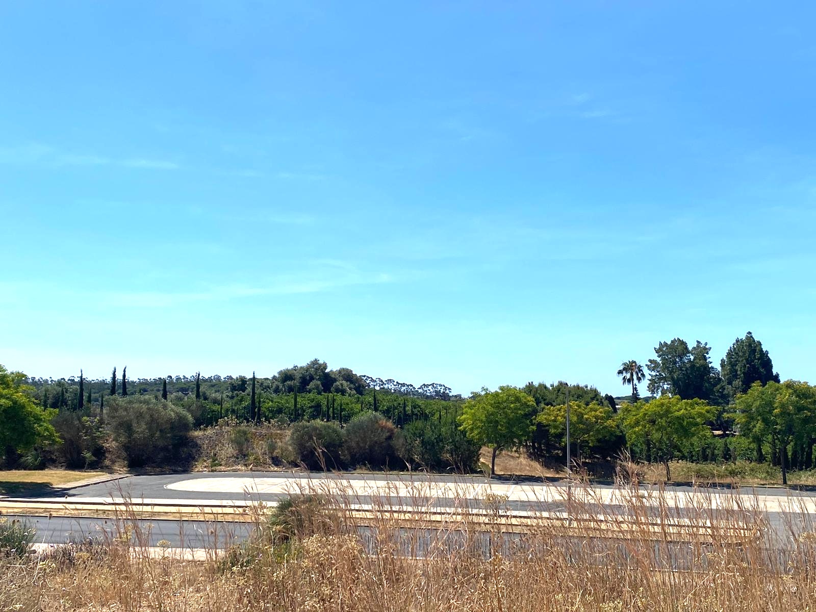 Parcela Sapu Cartaya HUELVA
