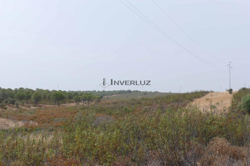 Finca venta Direccion San Silvestre Guzman Villablanca