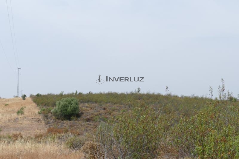 Finca venta Direccion San Silvestre Guzman Villablanca