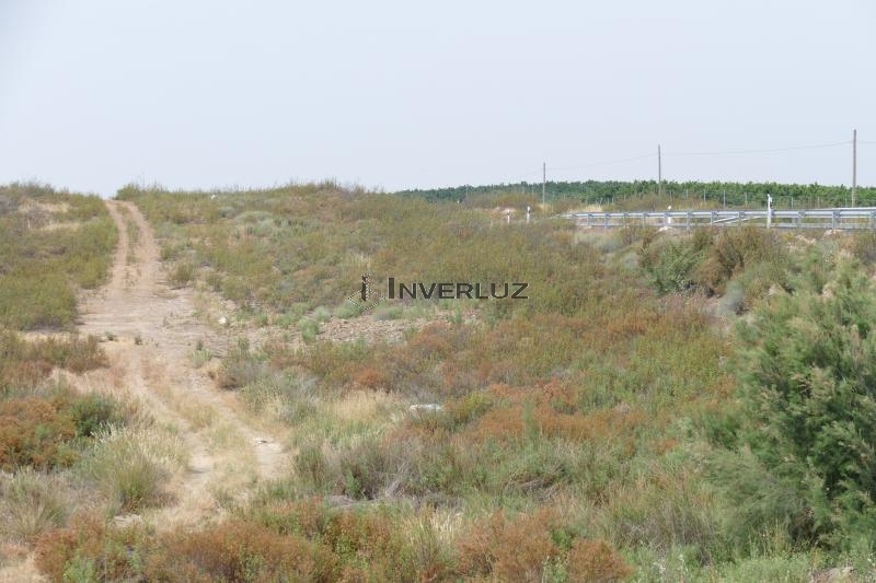 Finca venta Direccion San Silvestre Guzman Villablanca