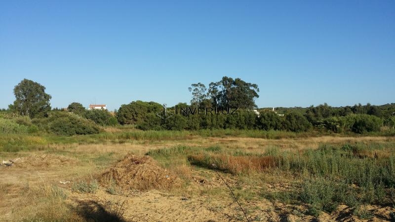 Finca venta Camino Rural En Alfonseca Cartaya