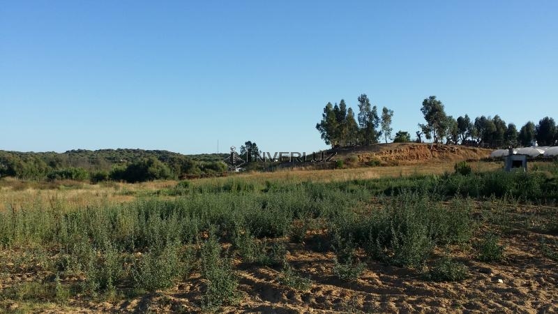 Finca venta Camino Rural En Alfonseca Cartaya