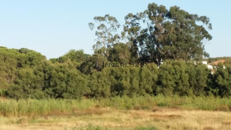 Finca venta Camino Rural En Alfonseca Cartaya