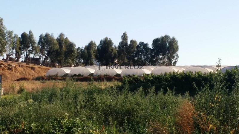 Finca venta Camino Rural En Alfonseca Cartaya