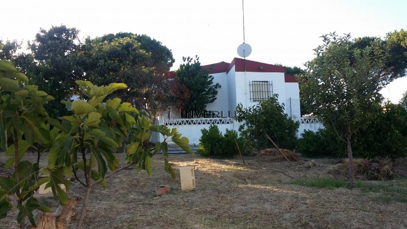 Finca venta Camino Rural En Alfonseca Cartaya