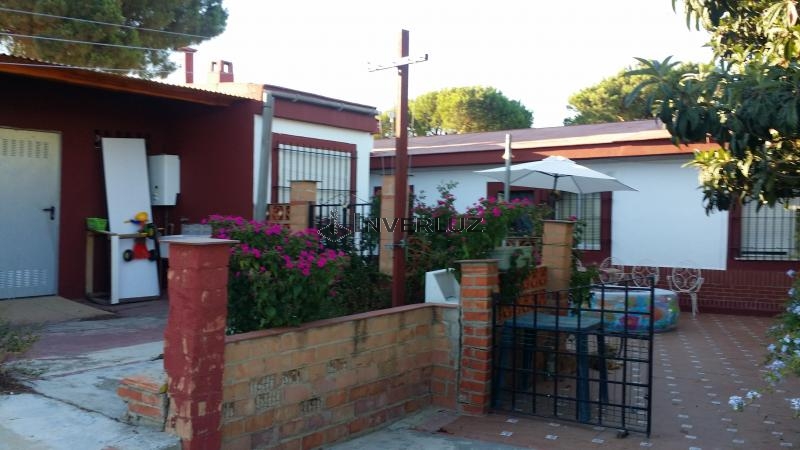 Finca venta Camino Rural En Alfonseca Cartaya