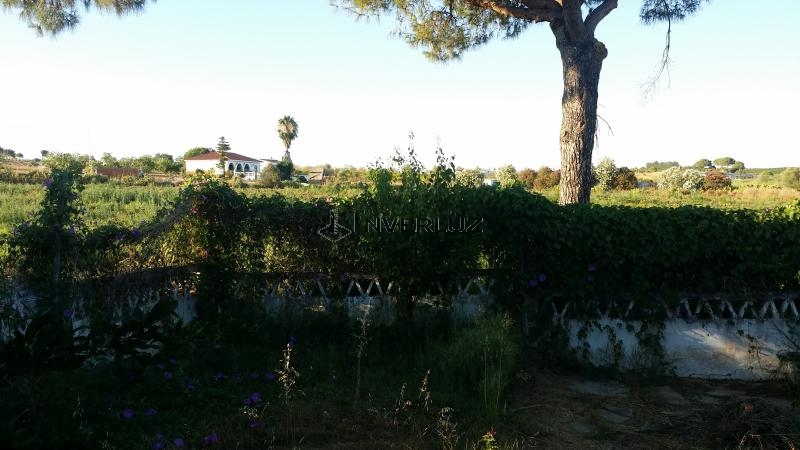 Finca venta Camino Rural En Alfonseca Cartaya