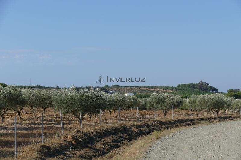 Finca venta Salida De Villablanca Villablanca