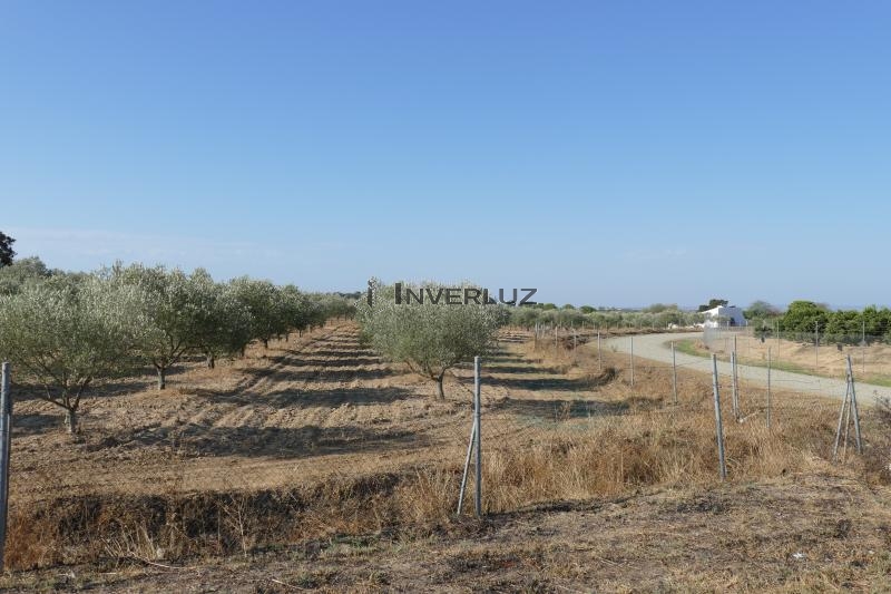Finca venta Salida De Villablanca Villablanca