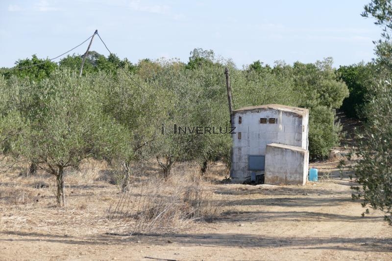 Finca venta Salida De Villablanca Villablanca