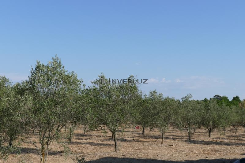 Finca venta Salida De Villablanca Villablanca