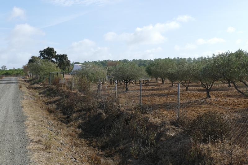 Finca venta Camino Rural Villablanca