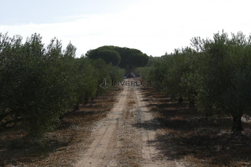 Finca venta Camino Rural Villablanca