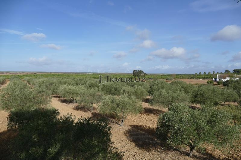 Finca venta Camino Rural Villablanca