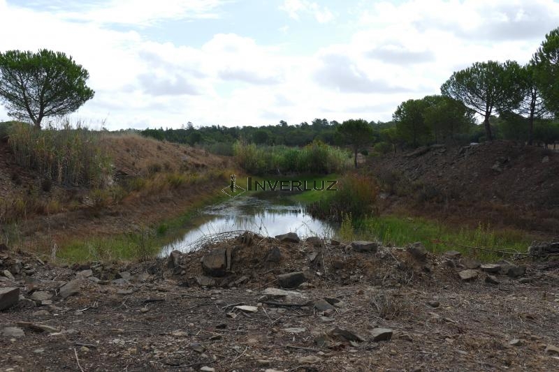 Finca venta Camino Rural Villablanca