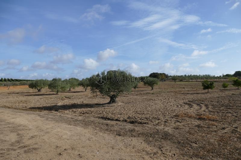 Finca venta Frente Al Surtidor Villablanca