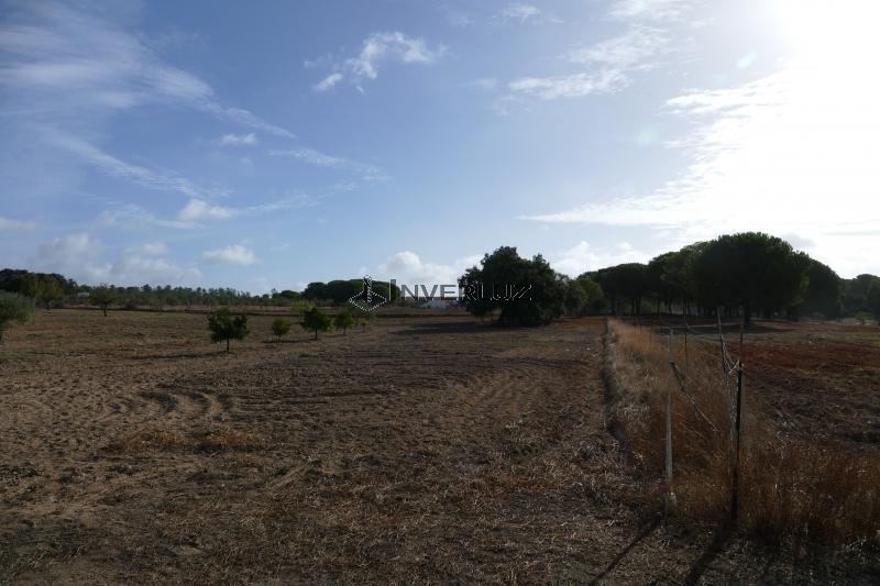 Finca venta Frente Al Surtidor Villablanca
