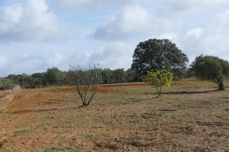 Finca venta Frente Al Surtidor Villablanca