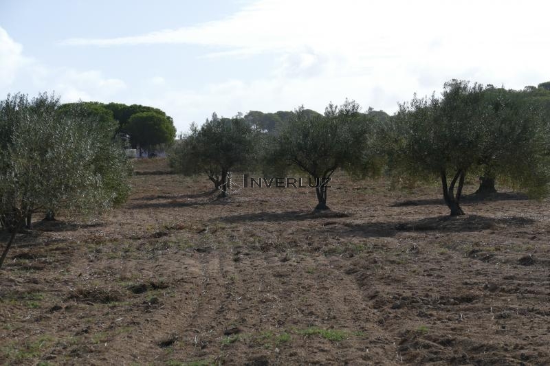 Finca venta Frente Al Surtidor Villablanca