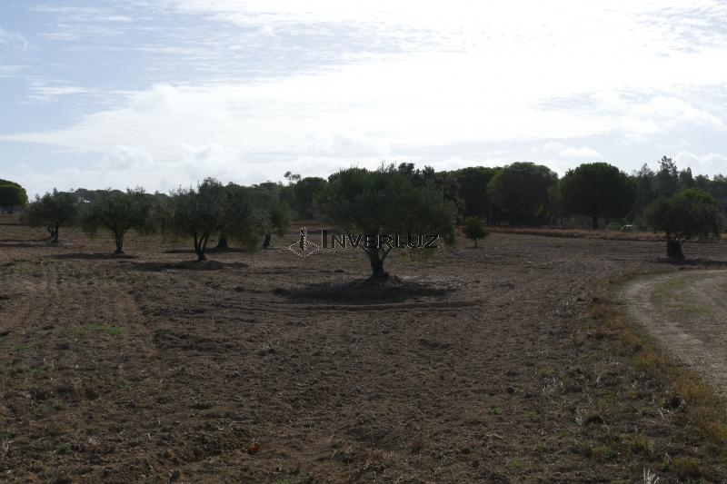 Finca venta Frente Al Surtidor Villablanca
