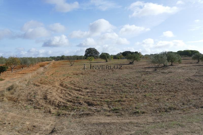 Finca venta Frente Al Surtidor Villablanca