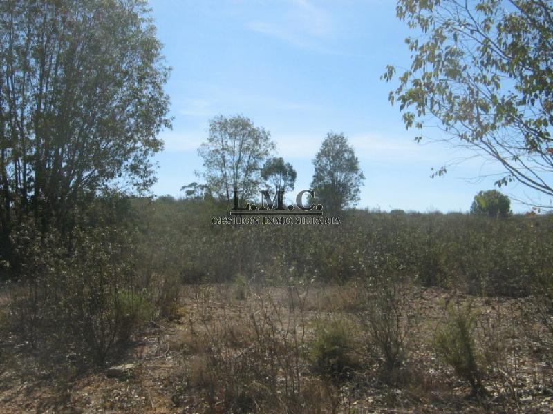 Terreno Lepe Lepe HUELVA