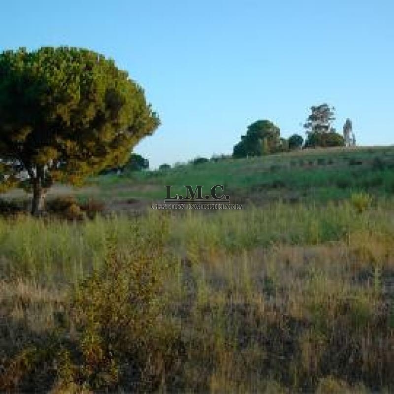 Terreno Lepe Lepe HUELVA