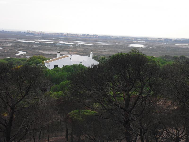 Finca venta Camino de Valdivia Ayamonte