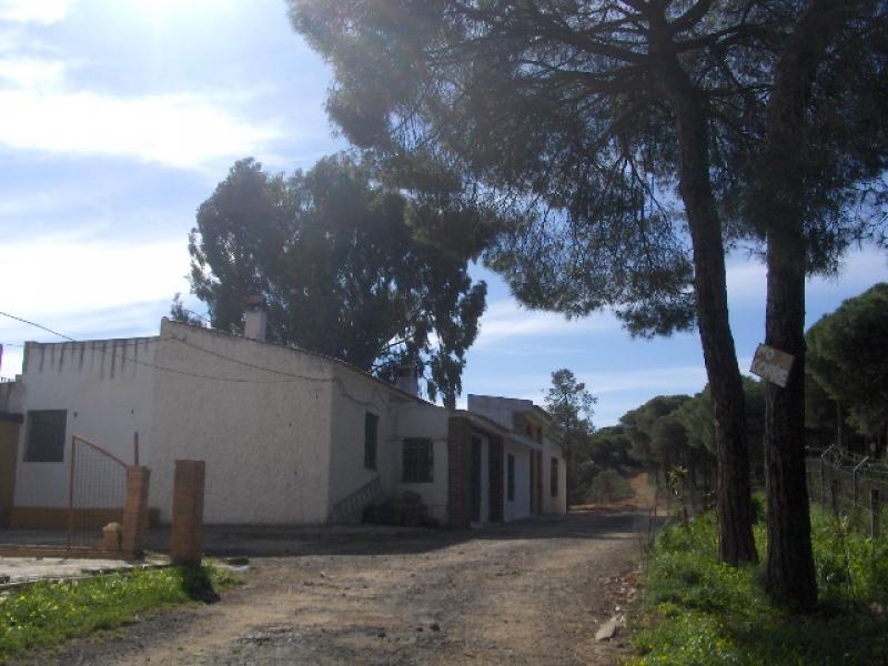 Finca venta Camino de Valdivia Ayamonte