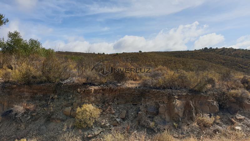 Finca venta Santa Clara - Rio Guadiana Ayamonte
