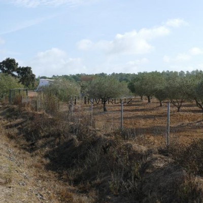 Finca 30000m² hab.1 Camino Rural Villablanca